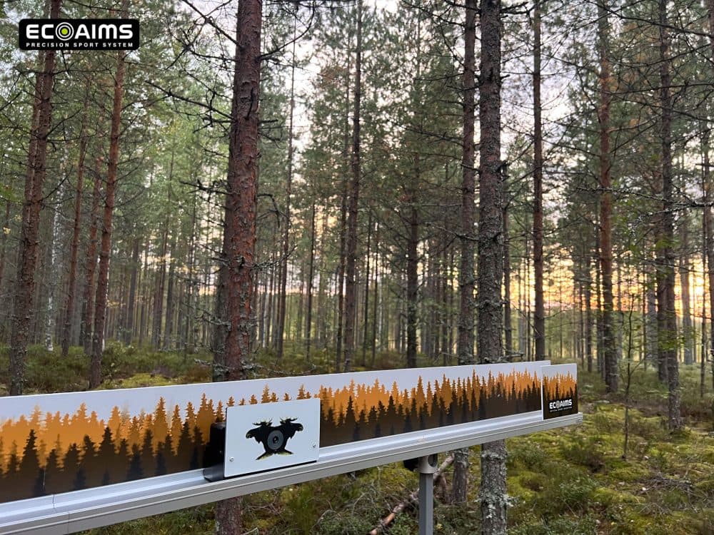 MT10 Moose range Set (10m shooting distance) Bild 5